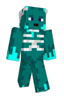 Sh1nshilka Minecraft avatar full body