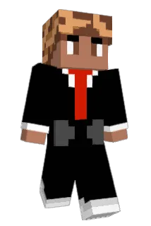 Shaakko Minecraft avatar full body
