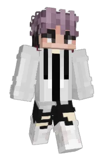 ShadowFliix Minecraft avatar full body