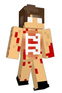 ShadowXXD Minecraft avatar full body