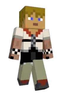Shadowaki Minecraft avatar full body