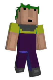 Shadoweave Minecraft avatar full body