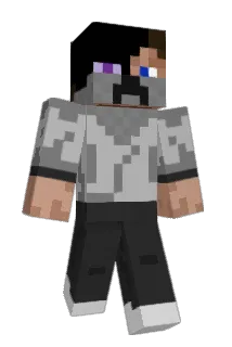 Shadowskyknight Minecraft avatar full body
