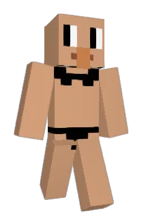 Shafdol Minecraft avatar full body