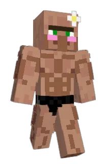 Shafleww Minecraft avatar full body