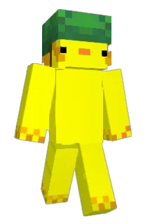 Shakearoo Minecraft avatar full body