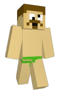 Shakenbake28000 Minecraft avatar full body