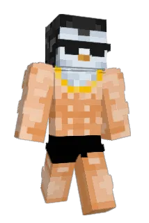 Shamii9 Minecraft avatar full body