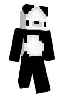 Shampoochy Minecraft avatar full body