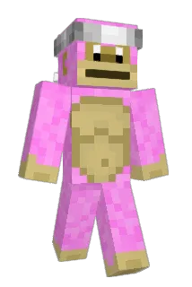 Shandezz Minecraft avatar full body