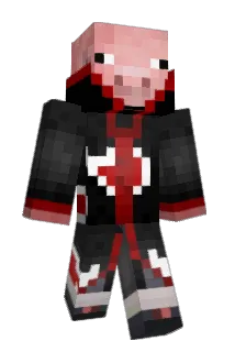 ShanePHD Minecraft avatar full body