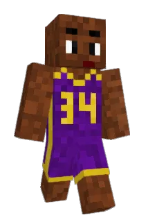Shaundale Minecraft avatar full body