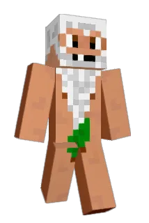 ShawLeBG Minecraft avatar full body