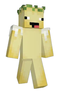 Shawarma333 Minecraft avatar full body