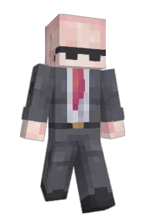 ShawnNieja Minecraft avatar full body