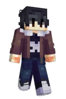 Shedinn Minecraft avatar full body