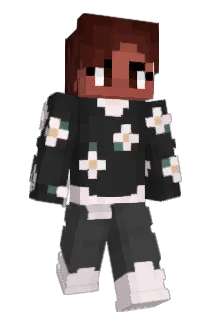 Shedonka Minecraft avatar full body