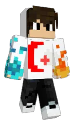 Custom render preview