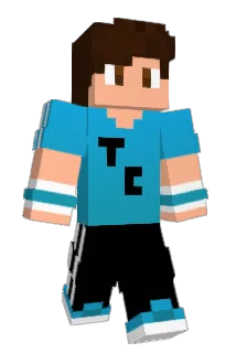ShellderBr Minecraft avatar full body