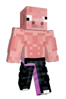 ShelovesShia Minecraft avatar full body