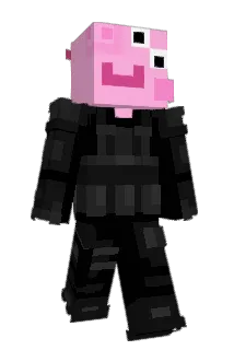 Shendogamer Minecraft avatar full body