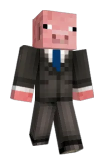 Sher5222 Minecraft avatar full body