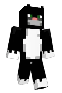 SherkeN Minecraft avatar full body