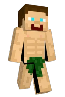 Shermii Minecraft avatar full body