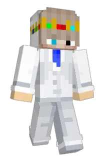 Shieldhraje Minecraft avatar full body