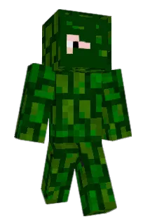 Shikaritzu Minecraft avatar full body