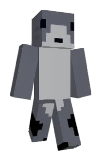 ShinLight Minecraft avatar full body