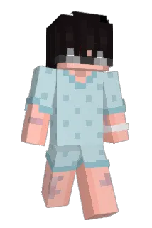 ShinySammy Minecraft avatar full body