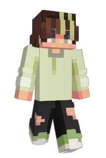 ShllokJ Minecraft avatar full body