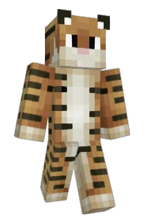 Shned Minecraft avatar full body