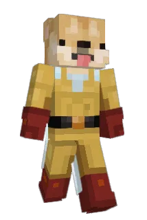 Shokolacho Minecraft avatar full body