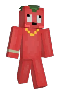 Shomatodao Minecraft avatar full body