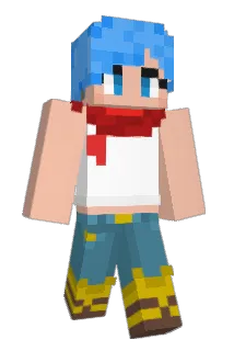 Shoplin Minecraft avatar full body