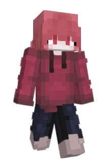 Shou49 Minecraft avatar full body