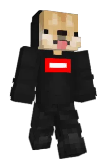 Shqipe Minecraft avatar full body