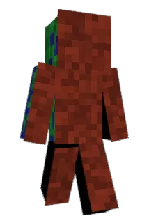 Shubbpants Minecraft avatar full body