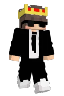 Shulker_Extra Minecraft avatar full body