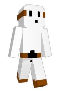 ShushBruv Minecraft avatar full body