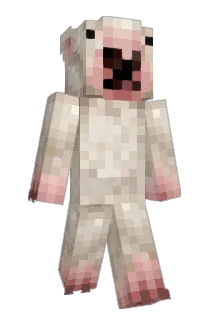 Shutbird Minecraft avatar full body