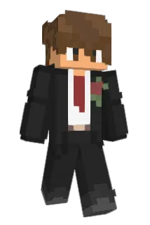 Shvebby Minecraft avatar full body