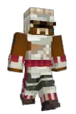 ShyTheFlyGuy Minecraft avatar full body