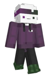 Siignups Minecraft avatar full body