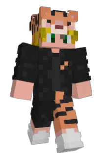 SilentSoulsNL Minecraft avatar full body