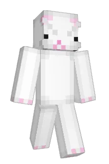 Silleeeeee Minecraft avatar full body