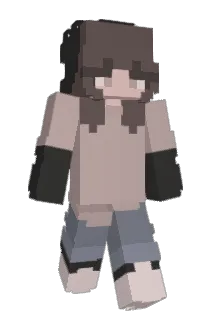 Silloh2 Minecraft avatar full body