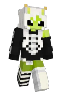 SillySoop Minecraft avatar full body